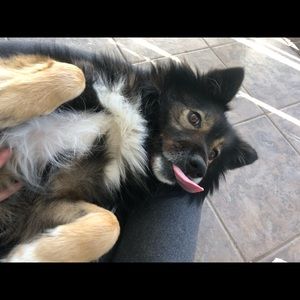 Meet your Posher, Emma